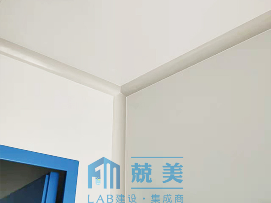 某企业实验室洁净区